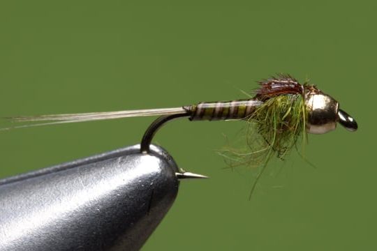 Bead Head Baetis Nymph