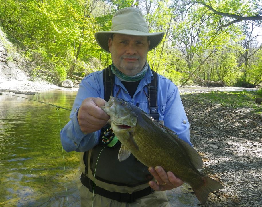 Big Creek Missouri Smallmouth Bass Fishing June 2020 