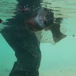 Bob Beckett Release Bob Beckett Release