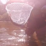 Catch & Release Bill Byington Catch & Release Bill Byington