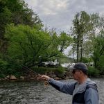 Dave high sticking for browns