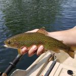 Another beautiful rainbow