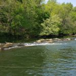 Looking for more along the spines