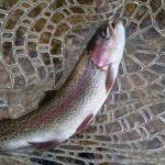 Ken gets a nice rainbow