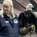Sisters? No, I don’t think so. You know that bald eagles, aren’t really bald, right?