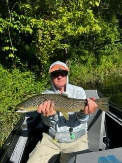 Evening Brown on Sulfur emerger